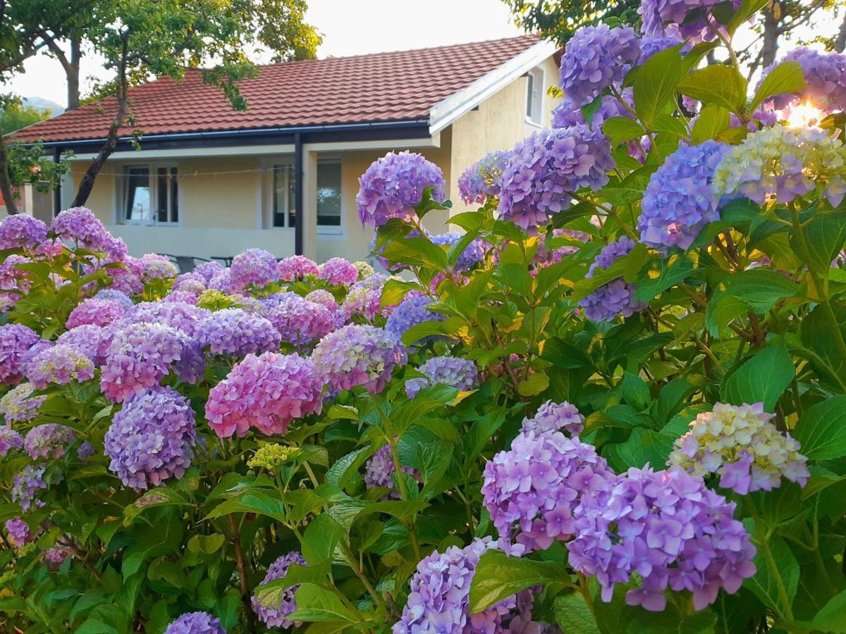 Cvjetni Apartmani Cetinje Exterior foto